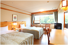 Western style room twin