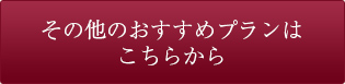 その他のおすすめプランはこちらから