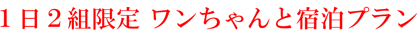 １日２組限定　ペットと宿泊プラン