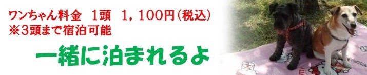 ビューロッジ四季彩